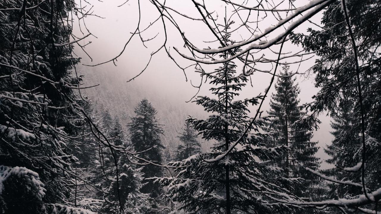 Wanderlust Panorama - Leben Im Nationalpark *